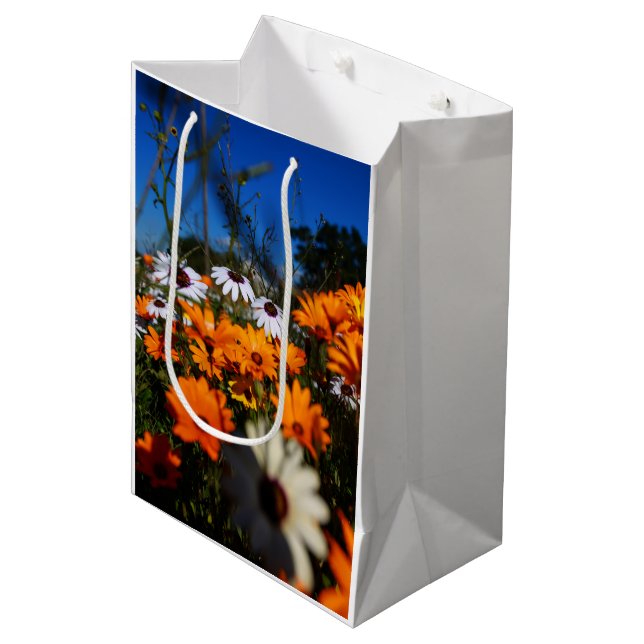 Vilda Namaqualand-blommor blomster (Framsidan Vinklad)