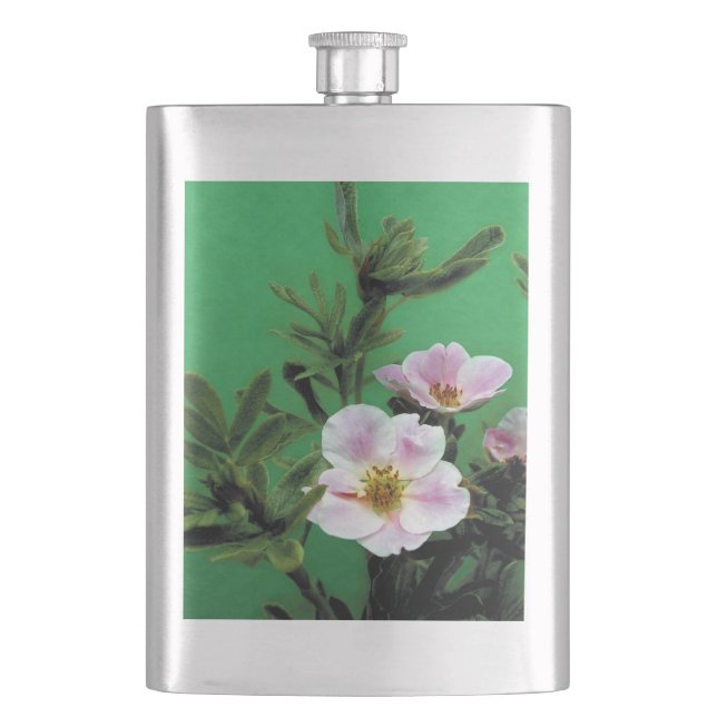 vilda rosa rosenblommor i grönt. fickplunta (Framsidan)