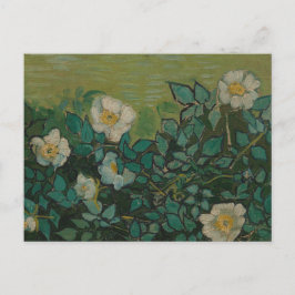 Vilda rosor av Vincent Van Gogh vykort