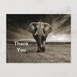 Vilda tjuren Elefant Foto Tack Vykort