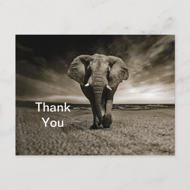 Vilda tjuren Elefant Foto Tack Vykort (Framsida)