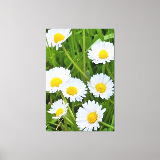 Vilda trädgårdsblommor Rumänien – Naturfotografi Canvastryck