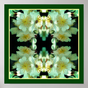 Vilda vita ramblande rosor Blomsterkonst Abstrakt Poster