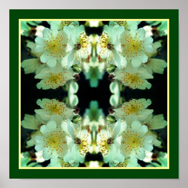 Vilda vita ramblande rosor Blomsterkonst Abstrakt  Poster (Framsidan)