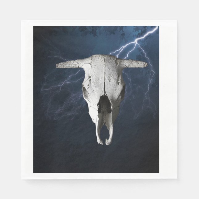 VILDA WESTERN PAPPERSSERVETT (Framsidan)