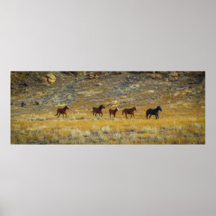 Vilda western poster