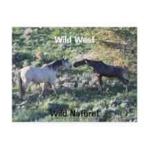 Vilda western Vild Nature Funny Horse and Moose