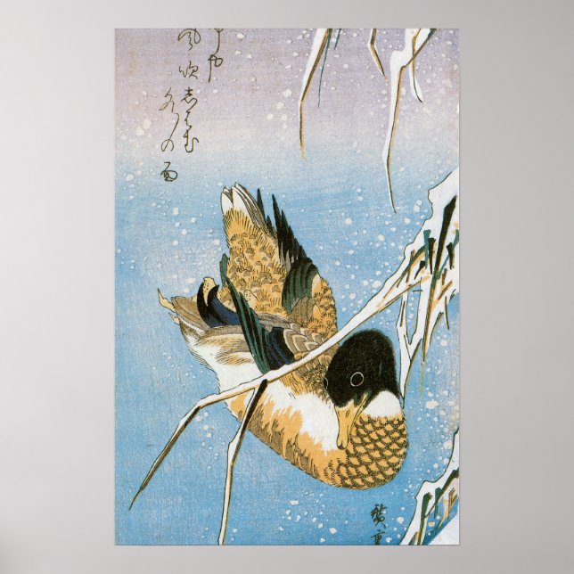 Vildand som simmar i snötunga vass av Hiroshige Poster (Framsidan)