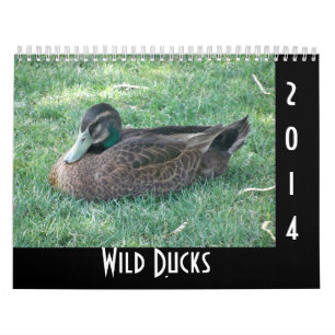 Vildankor Kalender