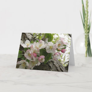 VildApple blommar - hälsningkort Kort