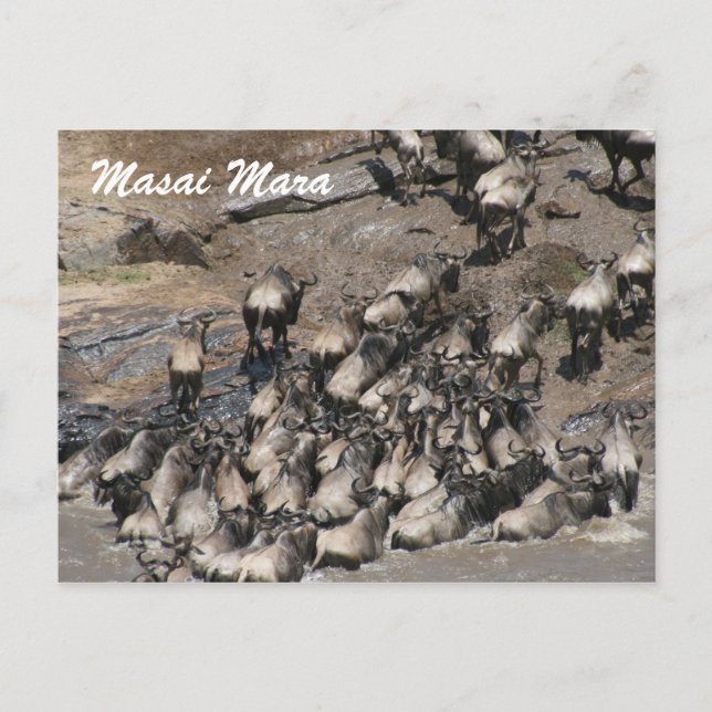 vildaste klättring vykort (Framsida)