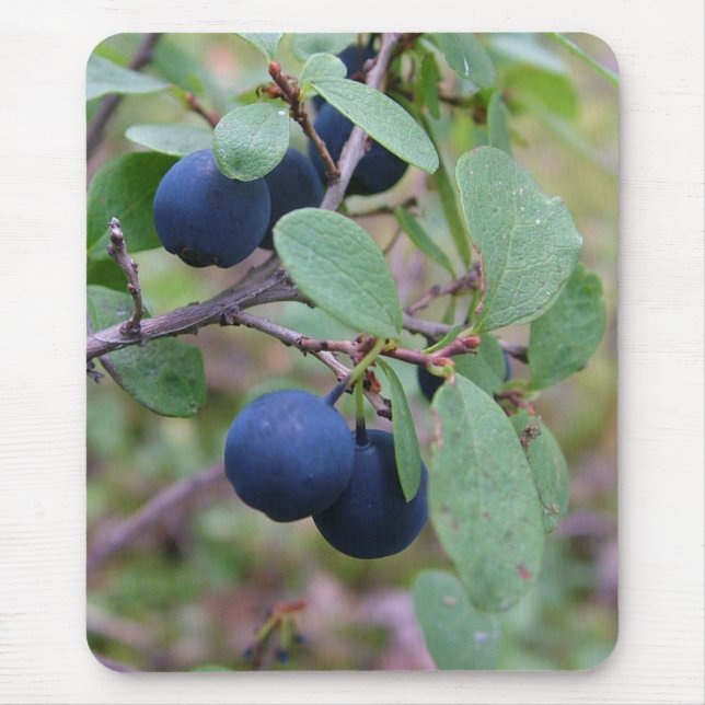 Vildbärmousepad Musmatta (Framsidan)