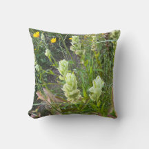 Vildblomma Arbutus och Indian Paintbrush 2-sidig