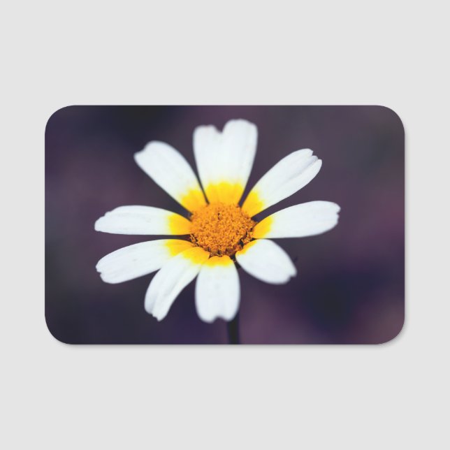 Vildblomma Namnbricka (Framsida)
