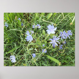 Vildblomma Poster
