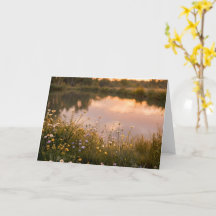 Vildblomma Sjösolnedgång Tom Julkort