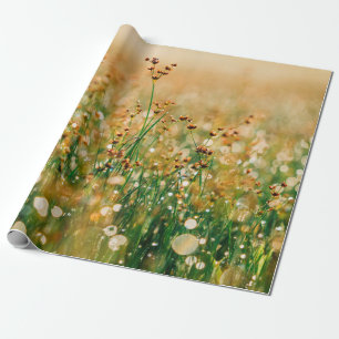 Vildblommaäng Presentpapper