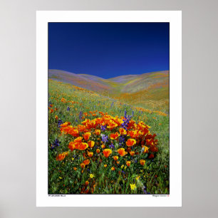Vildblommabackar Poster