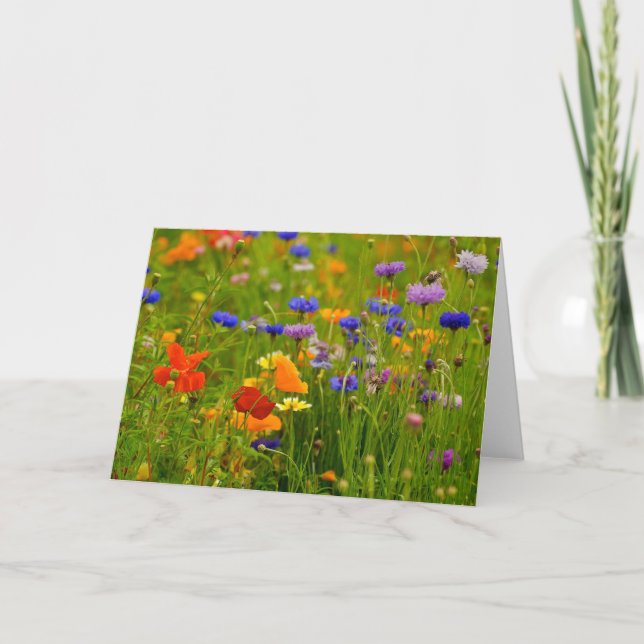 Vildblommahälsningkort Kort (Framsida)