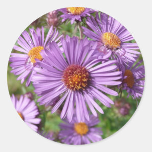Vildblommaklistermärkear Runt Klistermärke