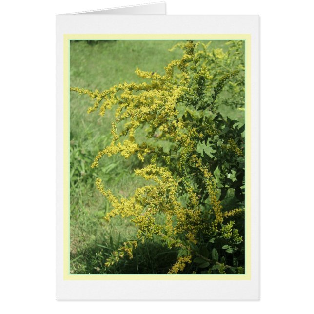 Vildblommakort Hälsningskort (Framsidan)