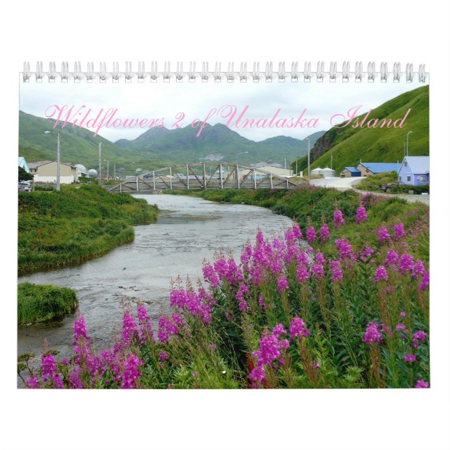 Vildblommar 2 av den Unalaska ön Kalender (Omslag)