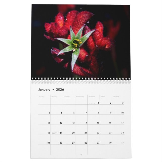 Vildblommar av Australien Kalender (Jan 2026)