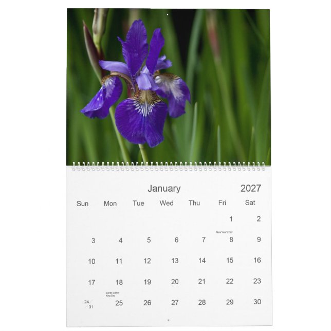 Vildblommar av den Europa 2010 kalendern Kalender (Jan 2027)