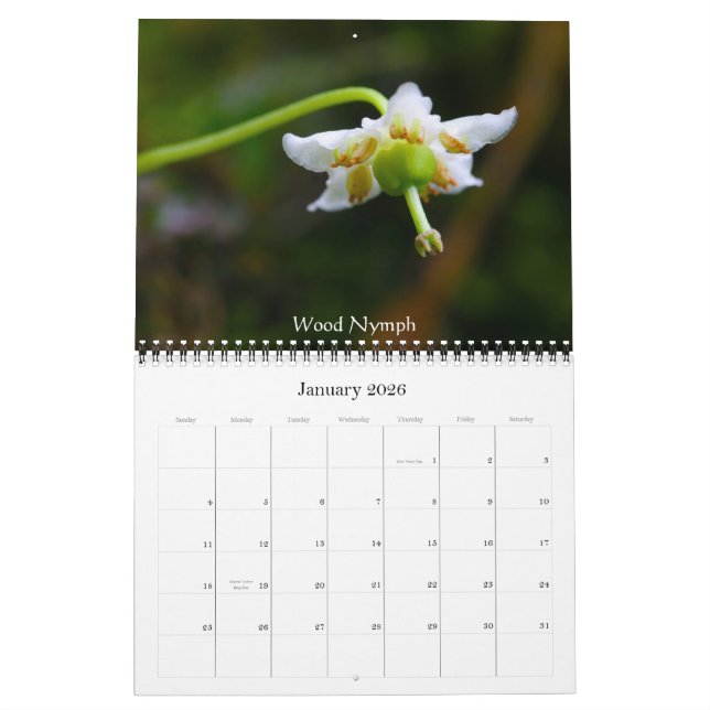 Vildblommar av den krönade butten kalender (Jan 2026)