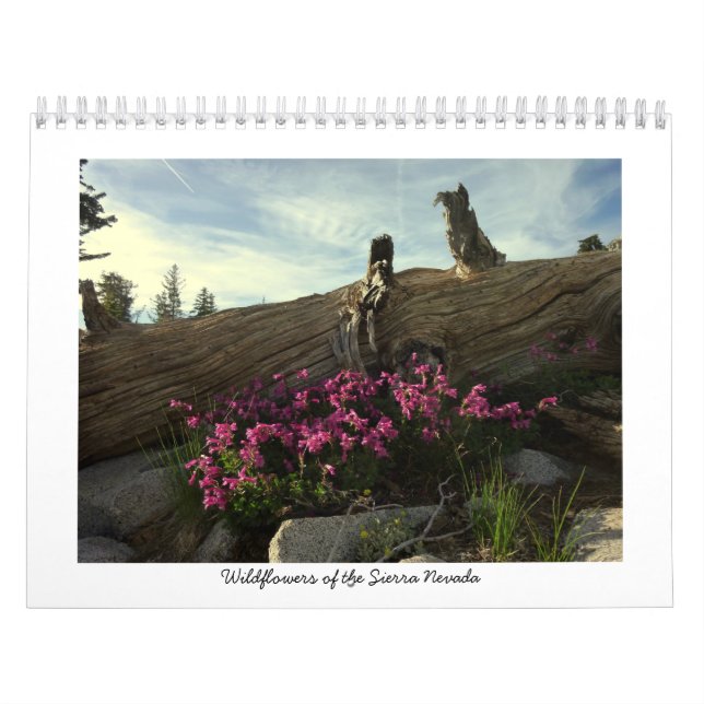 Vildblommar av Sierran Nevada Kalender (Omslag)