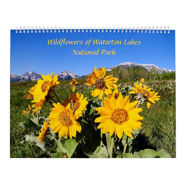 Vildblommar av Waterton sjöarnationalparken Kalender (Omslag)