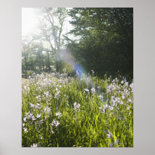 Vildblommar i fält poster