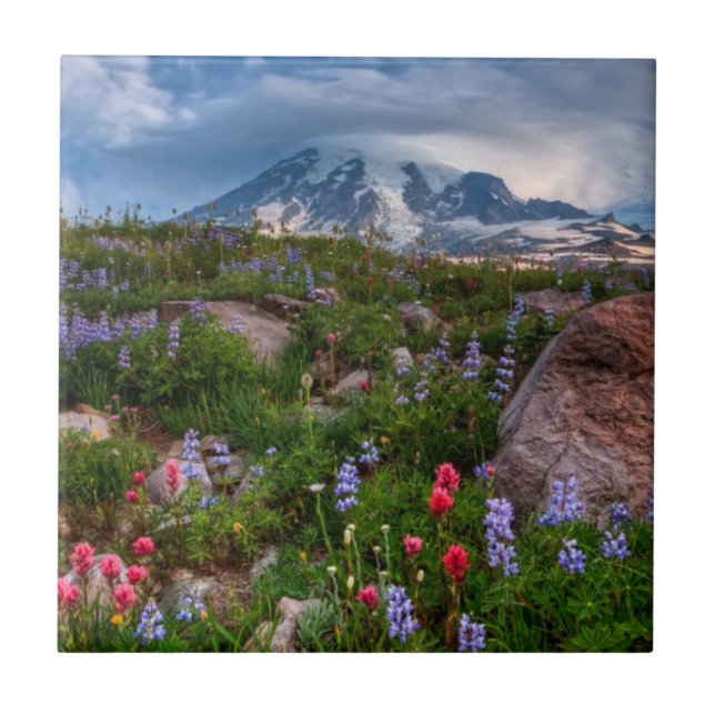 Vildblommar Kakelplatta (Framsidan)