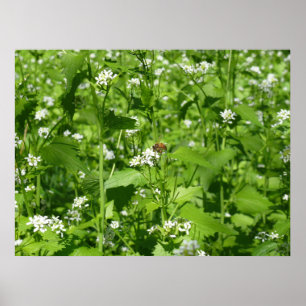 Vildblommar och ett bi poster