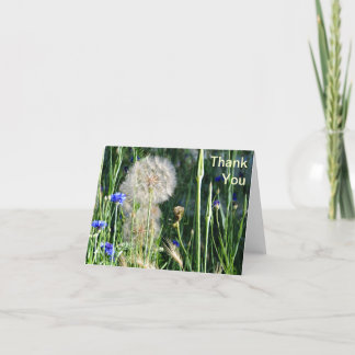 Vildblommar och Puffball, tack Kort