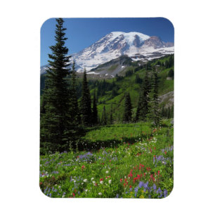 Vildblommar på Mount Rainier Magnet