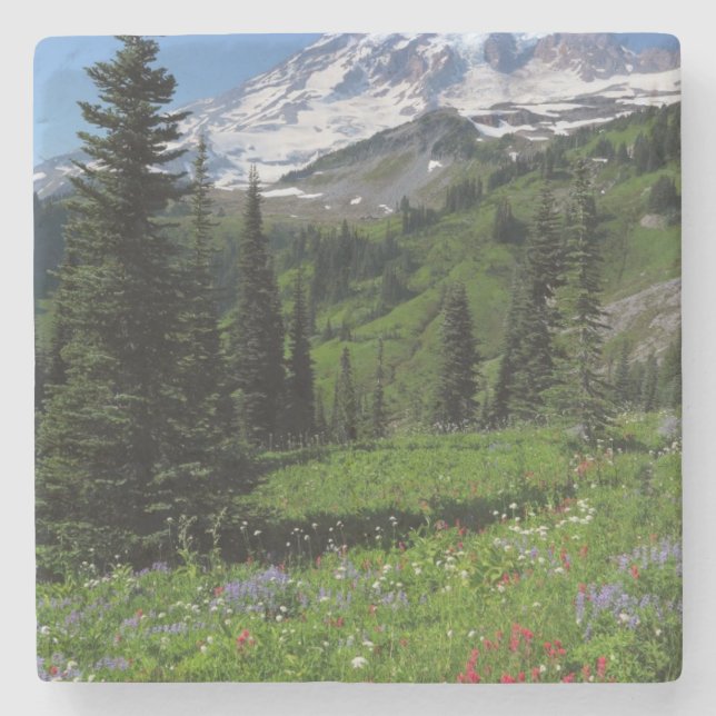 Vildblommar på Mount Rainier Stenunderlägg (Framsidan)
