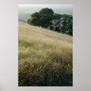 Vildblommar Poster