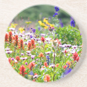 Vildblommar Underlägg