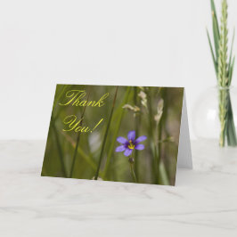 Vildblommatackkort 6 tack kort