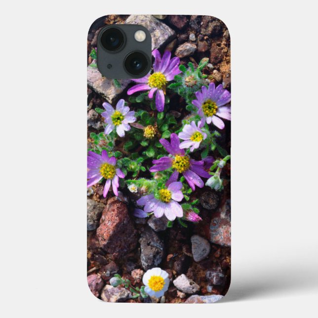 Vildblommor (Baksida)