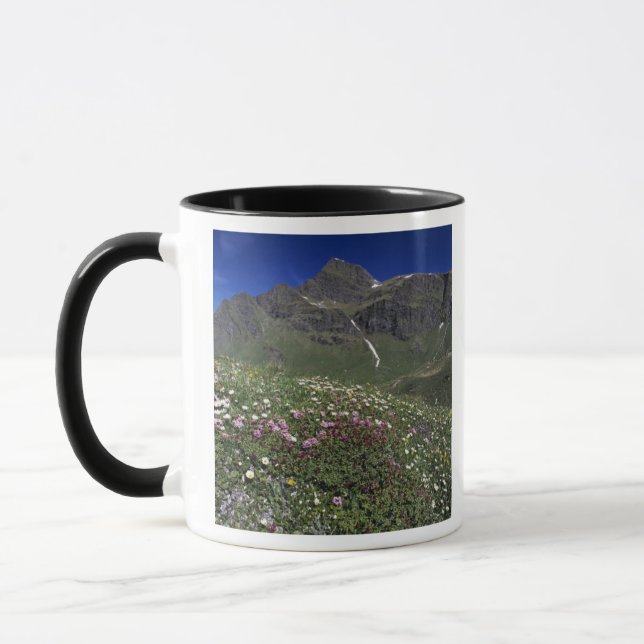 Vildblommor, blommande, Alperna, Schweiz Mugg (Vänster)
