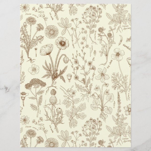 Vildblommor collage/ beige och sepia (Framsida)