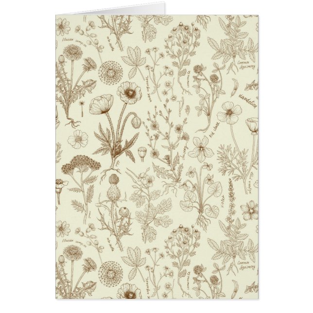 Vildblommor collage/ beige och sepia hälsningskort (Framsidan)