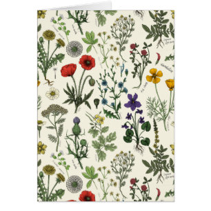 Vildblommor collage hälsningskort