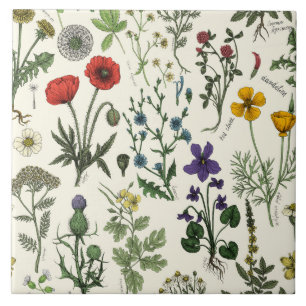 Vildblommor collage kakelplatta