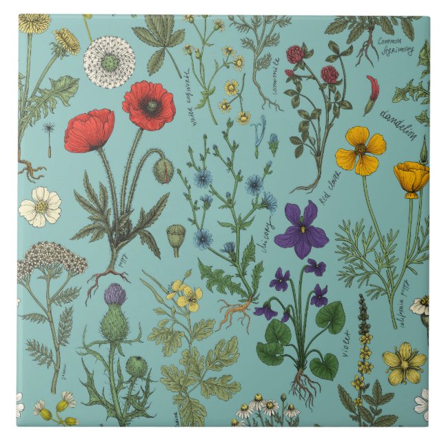 Vildblommor collage på blå bakgrund kakelplatta (Framsidan)