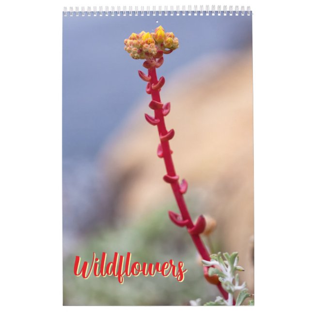 Vildblommor Kalender (Omslag)