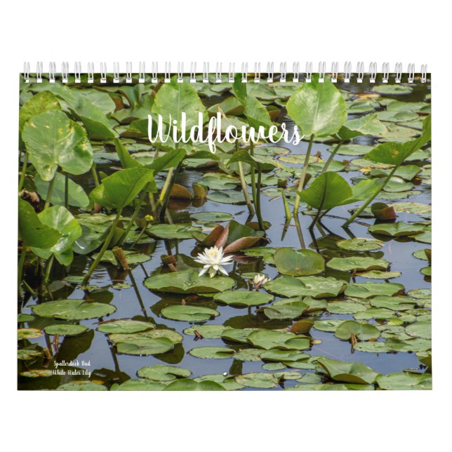 Vildblommor Kalender (Omslag)