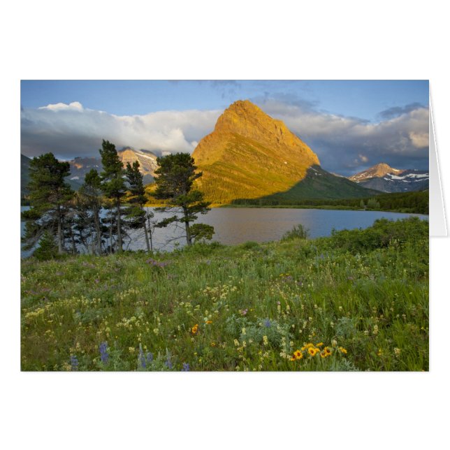 Vildblommor längs Swiftcurrent Lake i Many Hälsningskort (Framsidan Horizontal)